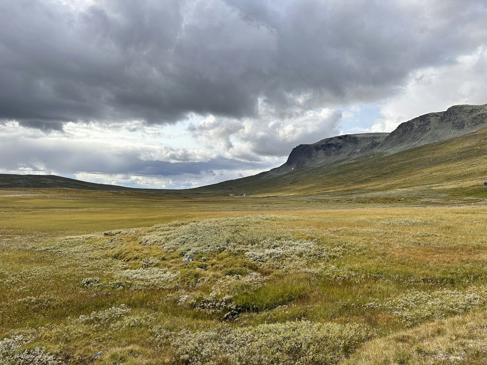 ノルウェーのツンドラ地帯の風景、永久凍土や気候フィードバックのイメージ
